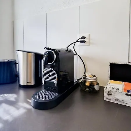 Bellevue Beautiful Waterfall View And Garden Lauterbrunnen