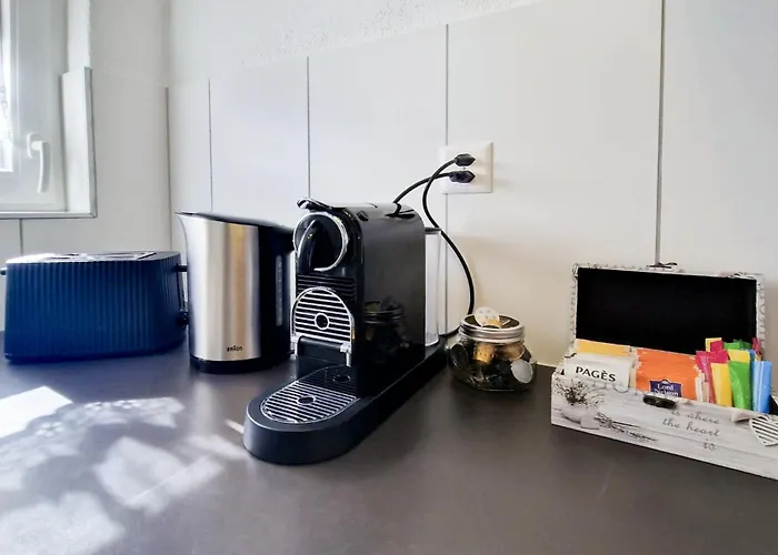 Bellevue Beautiful Waterfall View And Garden Lauterbrunnen